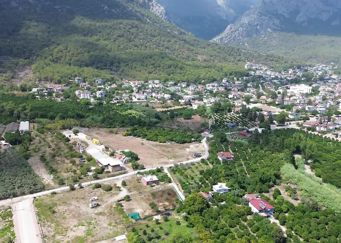 Palmiye كمر
