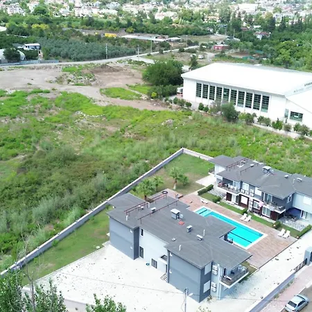 Palmiye *
