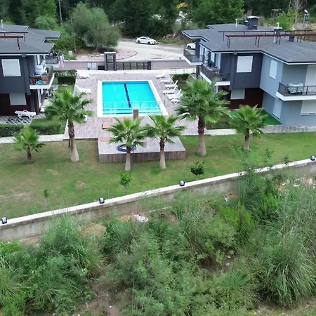 Palmiye *