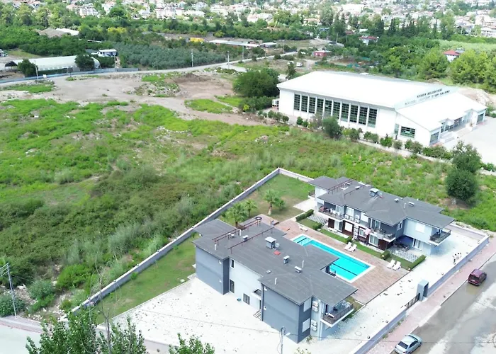 Palmiye *