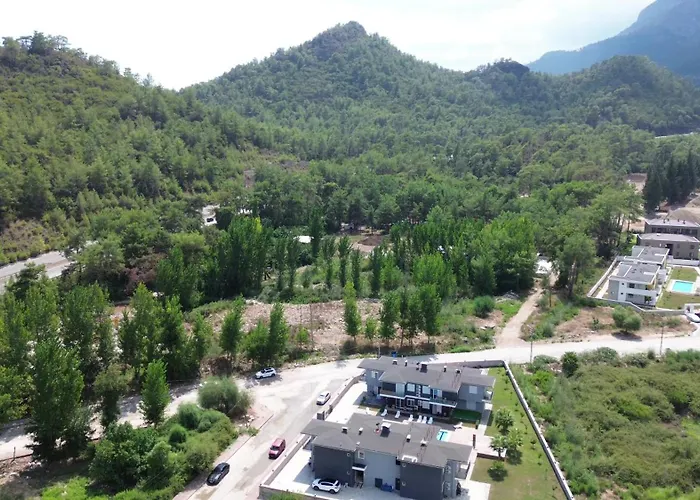 Palmiye