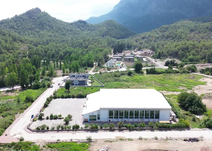Palmiye *