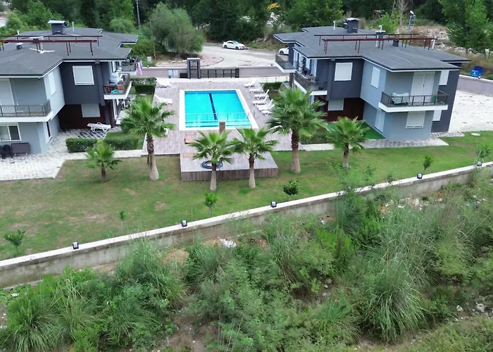 Palmiye *