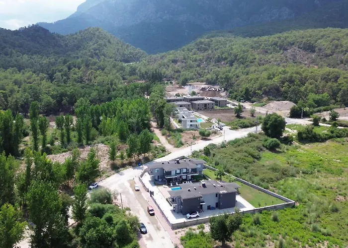 Palmiye *