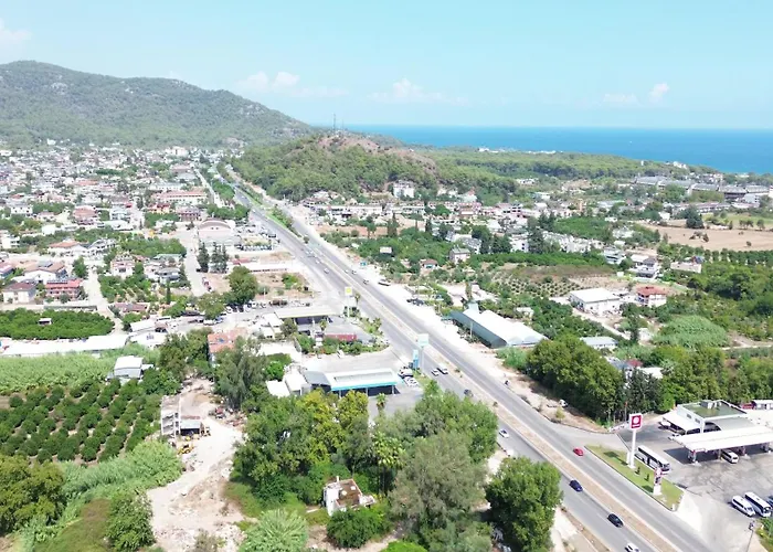 Palmiye * קמר