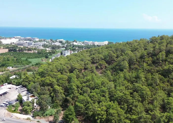 Apartament Palmiye *