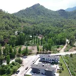 Palmiye