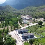 Palmiye *