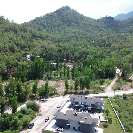 Palmiye