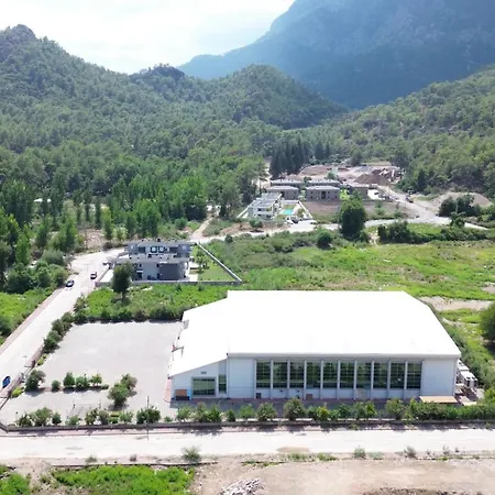 Palmiye *