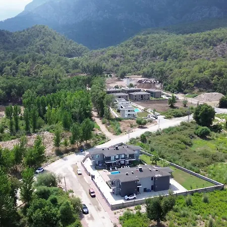 Palmiye *