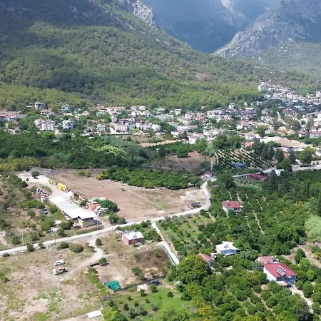 Palmiye Kemer