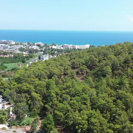 Apartman Palmiye *
