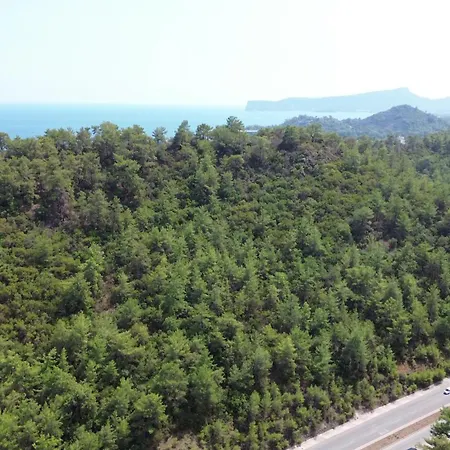 Palmiye Kemer